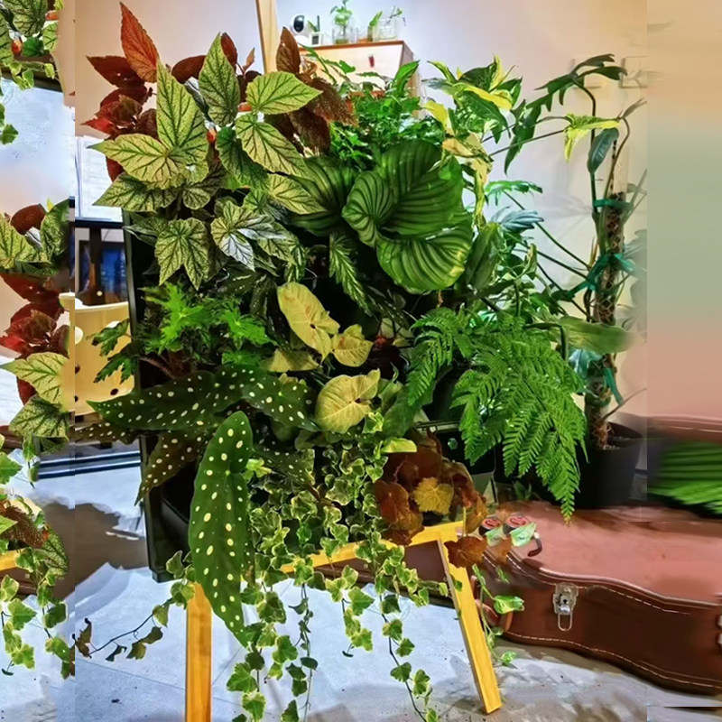 四孔种菜种花种植盒花盆户外工程室内绿化壁挂植物墙鸭脚4-5-6个,淘宝优惠券,粉丝福利购,淘宝优惠卷