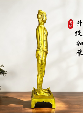 黄铜铜人中医针灸人体摆件工艺品