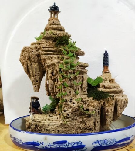 精品吸水石小假山盆景吸水石头花盆上水石鱼缸鱼池造景吸水石植物 - 图3