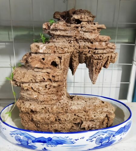 精品吸水石小假山盆景吸水石头花盆上水石鱼缸鱼池造景吸水石植物 - 图1