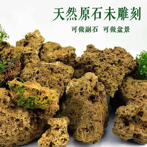 品天然吸水石原石假山盆景造景石毛料菖蒲石斛附石抱石景观石头新