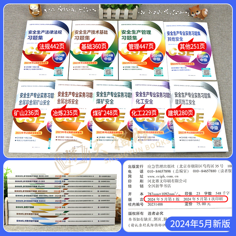 章节配套复习题集应急社官方2024年中级注册安全师工程师复习题集练习题库其他建筑化工煤矿金属冶炼矿山法规生产管理技术基础 - 图0