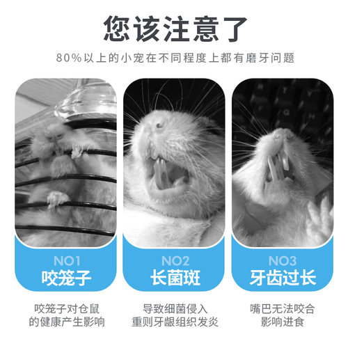 宠尚天仓鼠磨牙棒石兔子龙猫金丝熊零食大礼包用品苹果枝专用玩具 - 图1