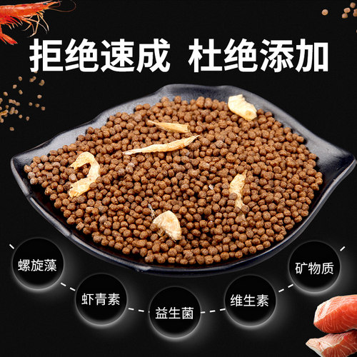 宠尚天龟粮乌龟草龟巴西龟专用粮小乌龟饲料乌龟食粮非饲料 - 图0