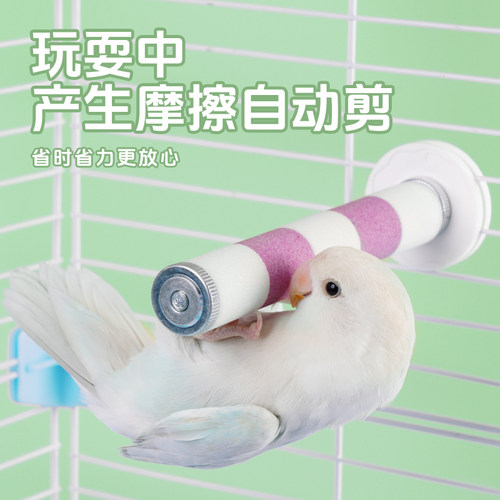 宠尚天鹦鹉磨爪棒磨砂站杆不锈钢站棍虎皮玄凤磨嘴鸟笼配件玩具 - 图2