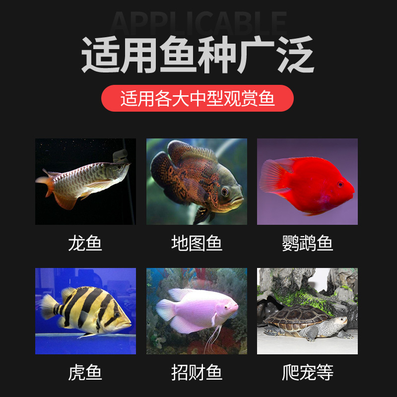 宠尚天面包虫活体虫干黄粉虫鹦鹉鱼乌龟银龙金龙鱼画眉鸟饲料龟粮 - 图3