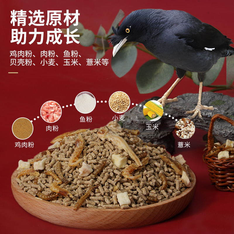 宠尚天八哥专用鸟食粮鹩哥海南黑八哥鸟粮饲料鸟料画眉鸟饲料粮食 - 图1