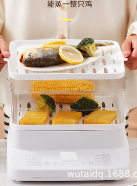 24L电蒸锅家用厨房蒸气锅