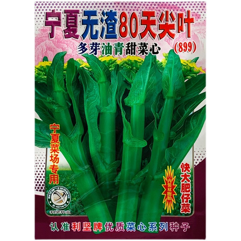 宁夏无渣80天尖叶多芽油青甜菜心种籽899茎苔粗菜心种子蔬菜种孑,淘宝优惠券,粉丝福利购,淘宝优惠卷
