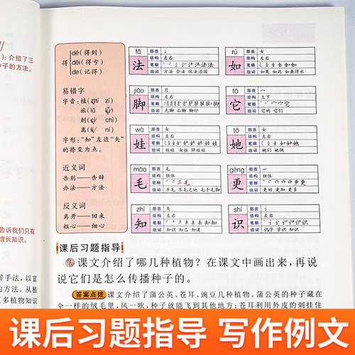 2023新版随堂笔记二年级上下册语文数学人教版随堂笔记二年级上下册正版全套小学二年级下册课本同步随堂培优学霸笔记部编教材解析 - 图2