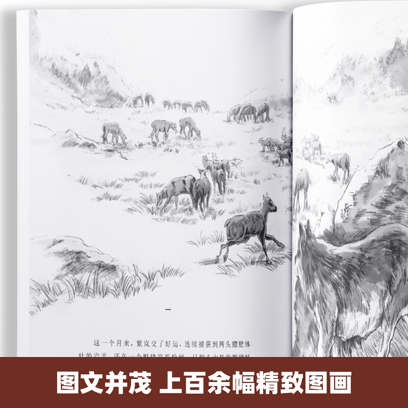 5册】狼王梦正版包邮沈石溪动物小说大王狼王梦画本珍藏版完整版漫画版小学生三四五六年级课外书8-12岁班主任推荐经典儿童文学书-图2