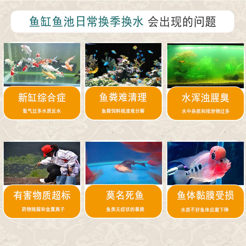 海豚净水剂浓缩硝化细菌活菌水质澄清安定除氯剂非鱼药除藻去苔剂