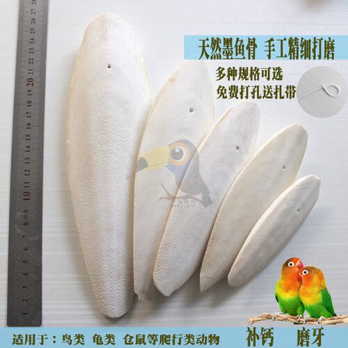 打磨消毒鸟用墨鱼骨/海螵蛸/虎皮鹦鹉墨鱼骨/龟松鼠补钙用品 - 图0