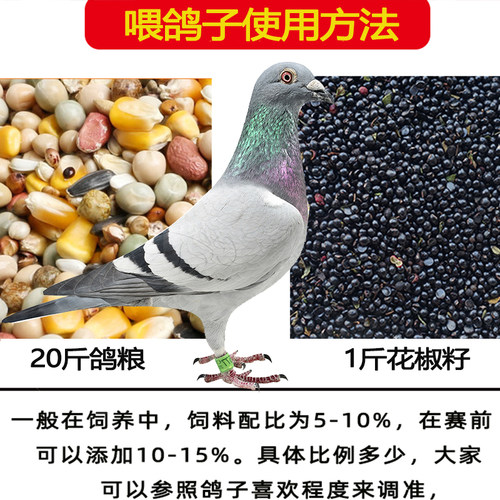 四川汉源花椒籽信鸽专用麻椒籽喂鸽子赛鸽椒目2500g信鸽花椒籽 - 图2