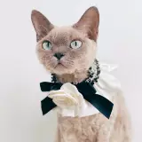 Колье кота принцессы в цвету новое питомец маленький ароматный ветерок белая цветочная лента немецкая плюшевая собака