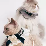 Колье кота принцессы в цвету новое питомец маленький ароматный ветерок белая цветочная лента немецкая плюшевая собака