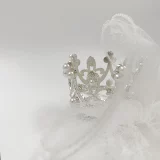 Кошка корона принцесса подарки подарки ПЭТ Свадебное фото откровенный