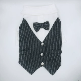 Костюм Cat Charli