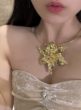 2025新款合金花卉项圈欧美嘻哈项链女士潮流夸张花朵配饰