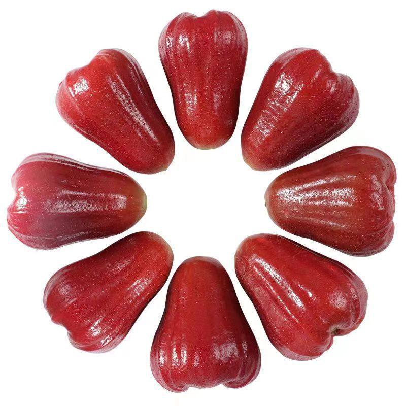 福建黑金刚莲雾产地直发当季水果莲雾包邮新鲜水果莲雾,淘宝优惠券,粉丝福利购,淘宝优惠卷