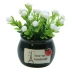 Hoa nhân tạo D772diy hoa quả tốt lành bình hoa nhỏ sáng tạo văn phòng nhà giả hoa chậu nồi trang trí xe - Trang trí nội thất