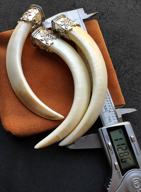 精选原始特大獠牙齿吊坠项链男女