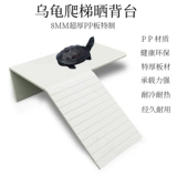 Черепаха с черепахи