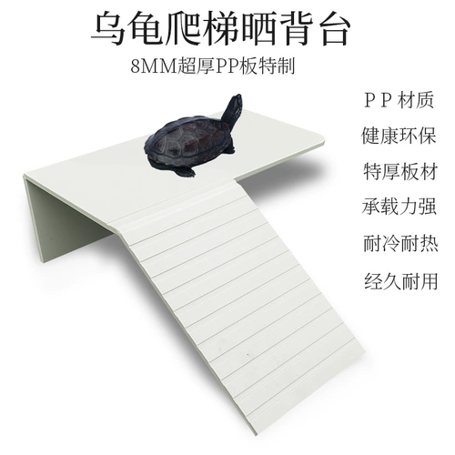 Черепаха с черепахи