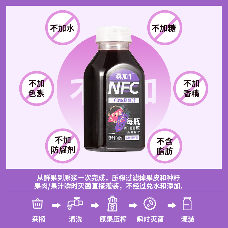 桑加1桑葚汁广东农科院nfc桑果汁中禾宝桑原浆含花青素整箱10瓶 - 图0