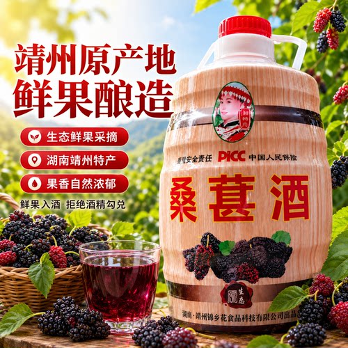 湖南靖州杨梅果酒8度6斤农家传统酿造养生梅子酒桑葚酒 - 图0