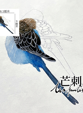 芒刺原创|虎皮鹦鹉|国风彩绘防水持久新中式鸟纹身贴|夜访吸血鬼