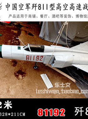 歼8-2 歼-8Ⅱ 歼八Ⅱ 歼击机 长须鲸-B 81192号 海空卫士王伟座机