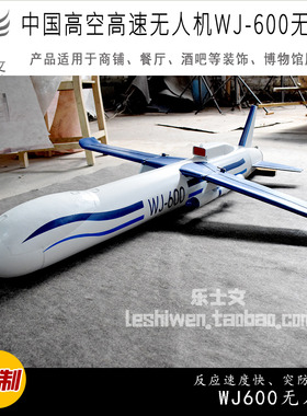 高空高速无人机WJ-600无人机WJ-700创意空中吊饰挂饰收藏展示展览