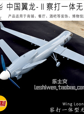 翼龙无人机Wing Loong UAV长航时侦察打击一体型无人机翼龙2H吊饰