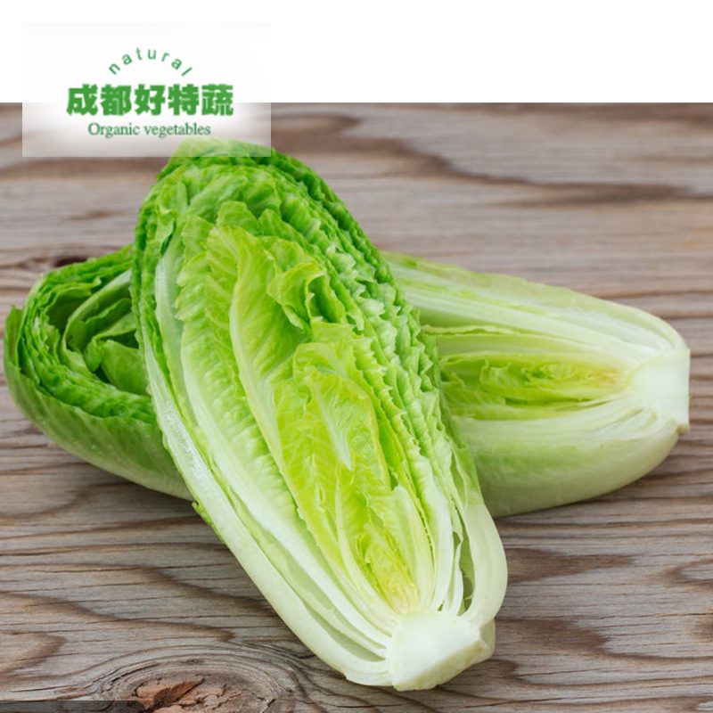 罗马生菜新鲜蔬菜沙拉食材顺丰包邮Romaine Hearts 500克 - 图1