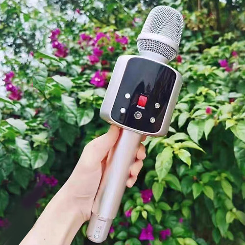 权盟R2炫声麦克风直播声卡双娱手机唱歌神器抖音儿童音响一体话筒 - 图2