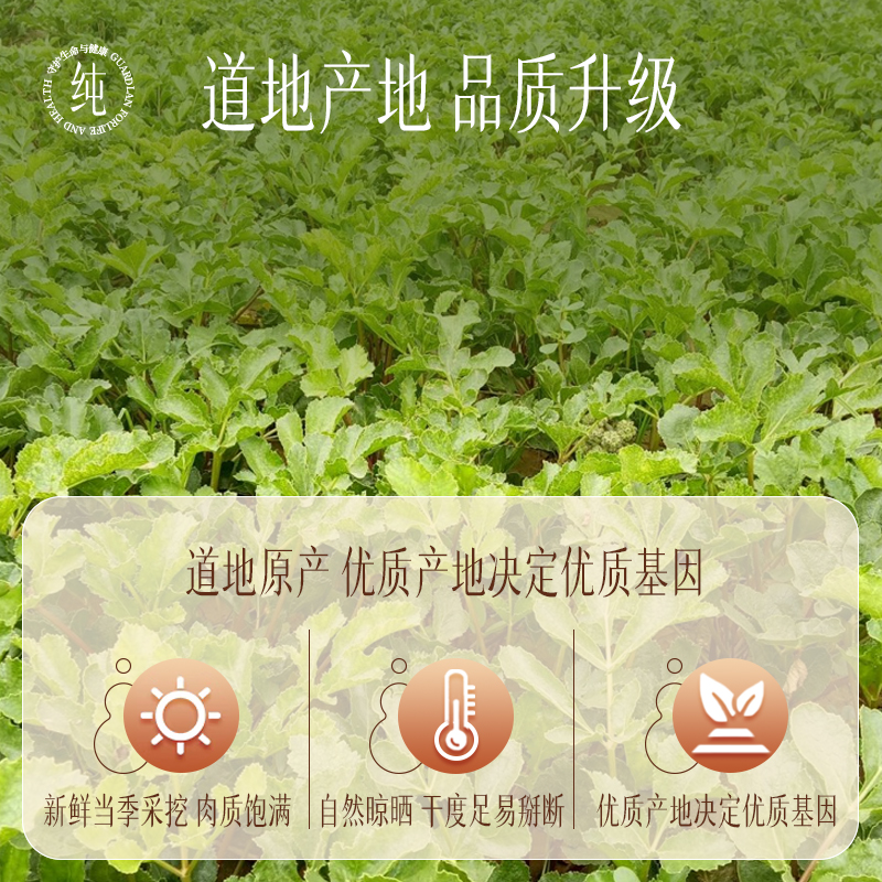 云南白药旗舰店北沙参官方正品搭莲子山药茯苓无花果芡实枸杞黄芪 - 图2