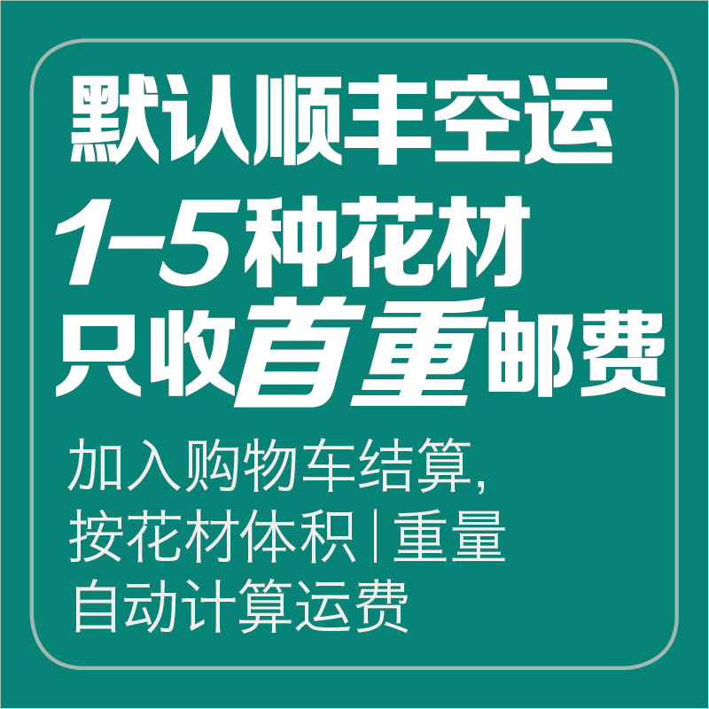 海盛新品六出花水仙百合鲜切花家庭瓶插花艺花束手捧婚庆高端花材 - 图2