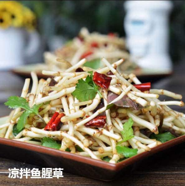 鱼腥草新鲜折耳根凉拌现挖嫩根野生节儿根2斤装侧耳根新鲜鱼星草,淘宝优惠券,粉丝福利购,淘宝优惠卷