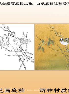 工笔画熟宣纸白描底稿上色