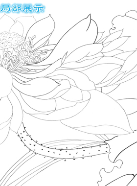 直接上色工笔画白描底稿荷塘清趣