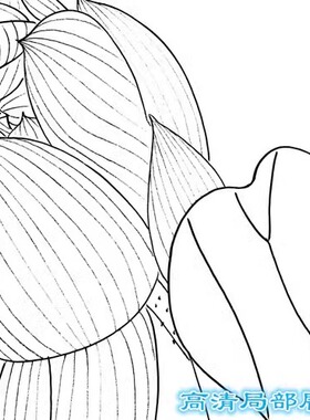工笔画白描底稿荷花上色喻慧
