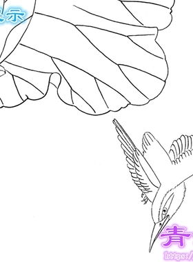 H2荷花工笔画白描底稿实物白纸线描画稿条幅过稿临摹陆雨年蜻蜓