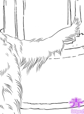 D33狗动物工笔画白描实物白纸底稿线描稿过稿查理士王小猎犬横幅