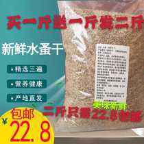 Water Flea Fish Dry Worm Juvenile Fish Opening Bait Ornamental Fish Feed Small Tropical Fish Fish Food Trampoline Grain Type