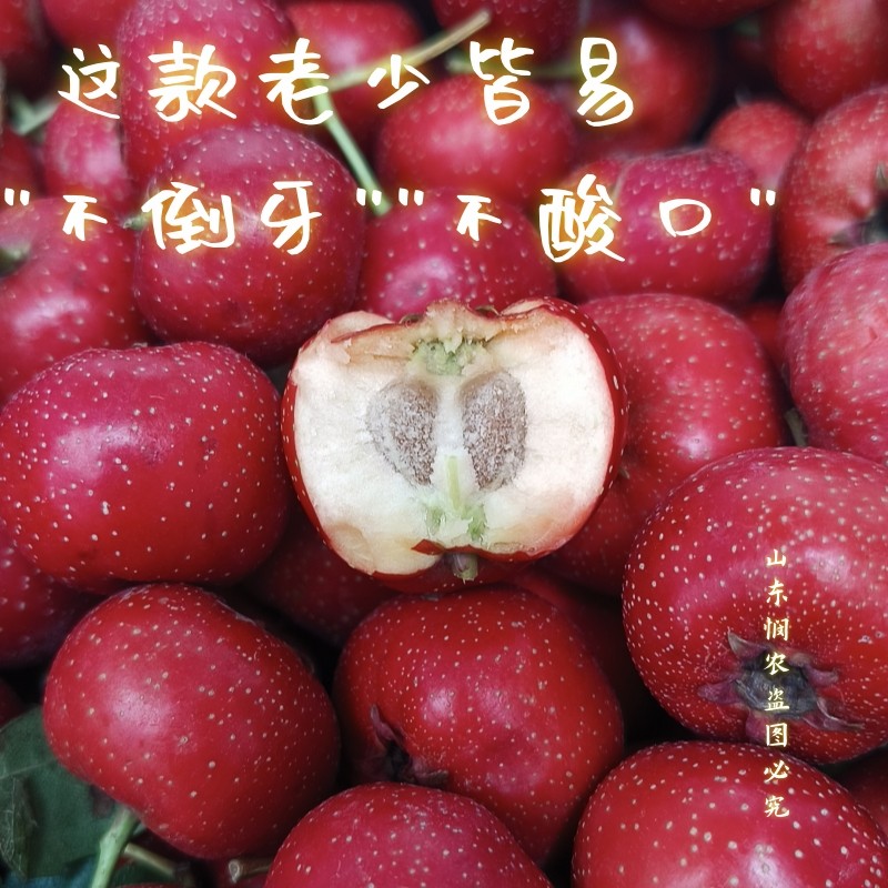 山楂 水果山楂 樱桃小山楂 甜口山楂甜红子,淘宝优惠券,粉丝福利购,淘宝优惠卷