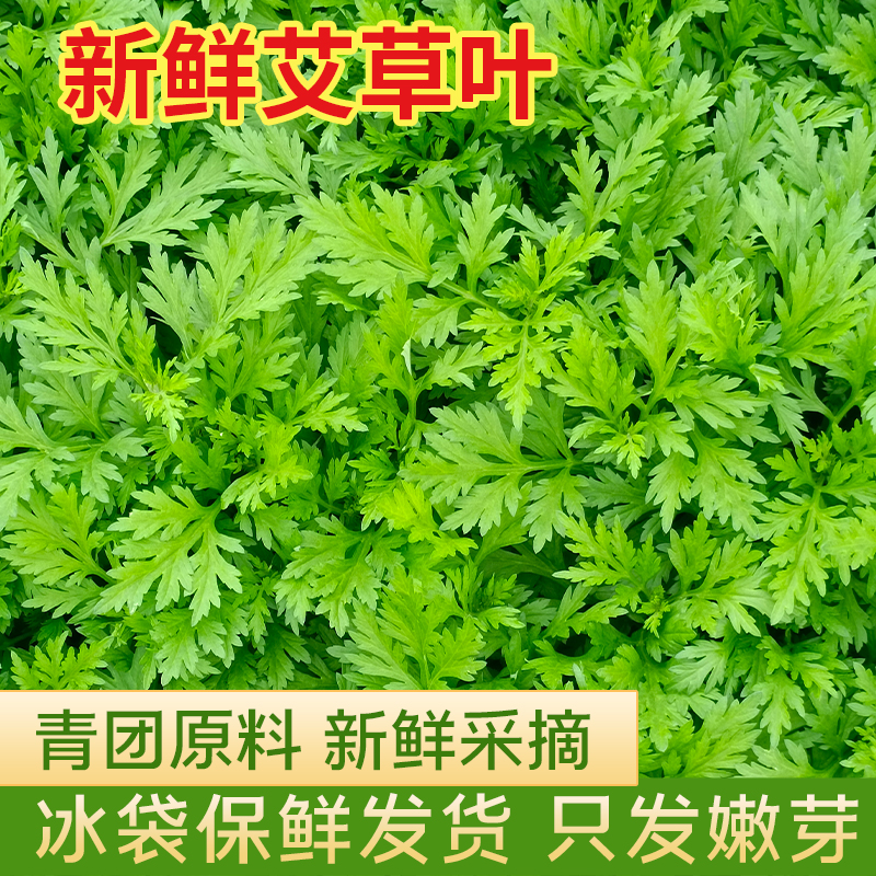 艾草新鲜蔬菜当季食用农家生艾草叶艾蒿清明草糍粑艾粄青团嫩艾叶-图0