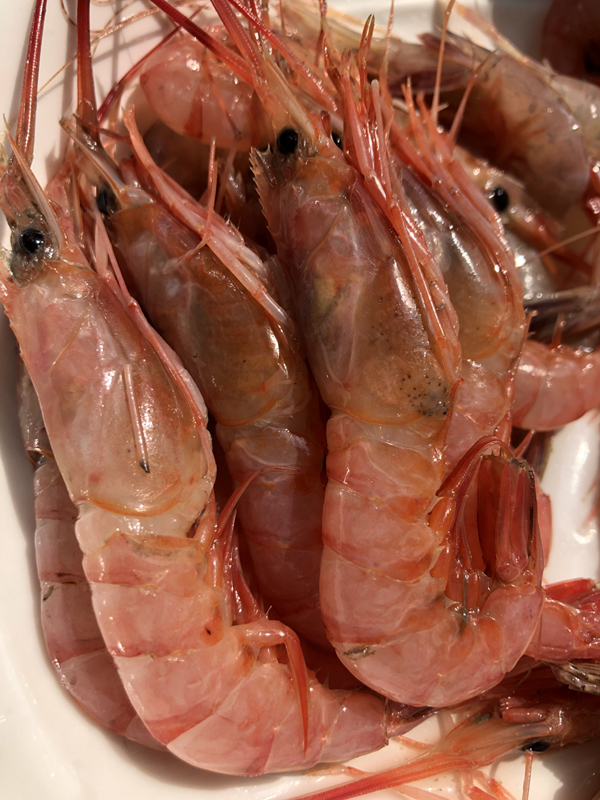 东海红头虾鲜活水产海虾野生海鲜新鲜大虾红虾推荐孕妇儿童补钙 - 图2