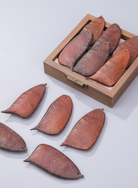 音符豆天然果壳DIY手工原材料植