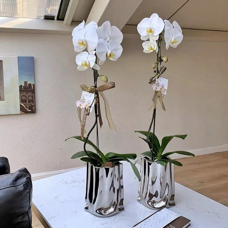 银色花瓶高级感轻奢电镀陶瓷水培花盆蝴蝶兰创意纸袋装饰插花瓶,淘宝优惠券,粉丝福利购,淘宝优惠卷